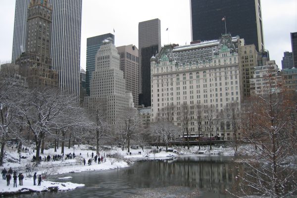 New York City Break