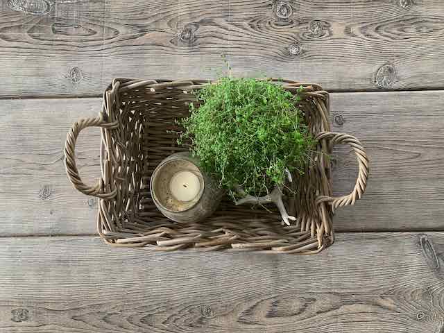 age wood vinegar wire wool
